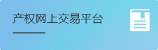 产权网上交易平台