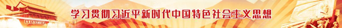 学习贯彻习近平新时代中国特色社会主义思想