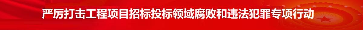 严厉打击工程项目招标投标领域腐败和违法犯罪专项行动